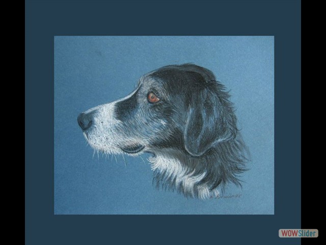 Hund_Blau-1